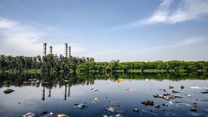 Presencia de contaminantes emergentes y metales en la Península de Yucatán: efectos e implicaciones a la salud ambiental y humana 