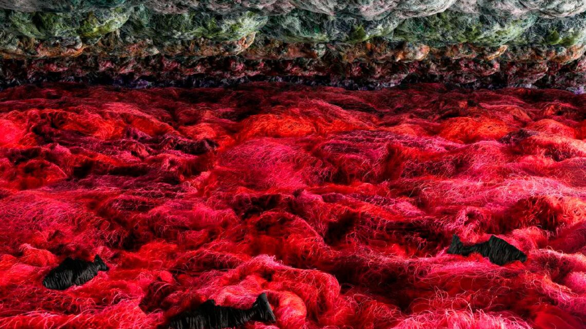 Mareas rojas: florecimientos nocivos en los mares