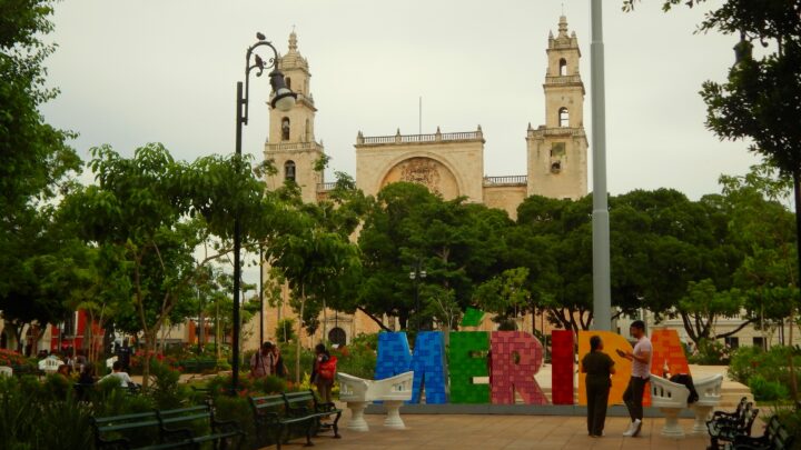 Vivir la plaza, gestionar el espacio: Explorando un ícono para los meridanos, desde el enfoque de SSE